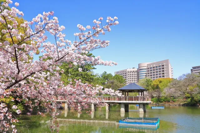 名古屋随一の桜の名所として大勢の花見客が訪れる