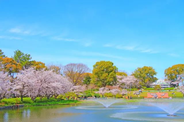 桜をはじめ季節の花々がおふけ池周辺を彩る