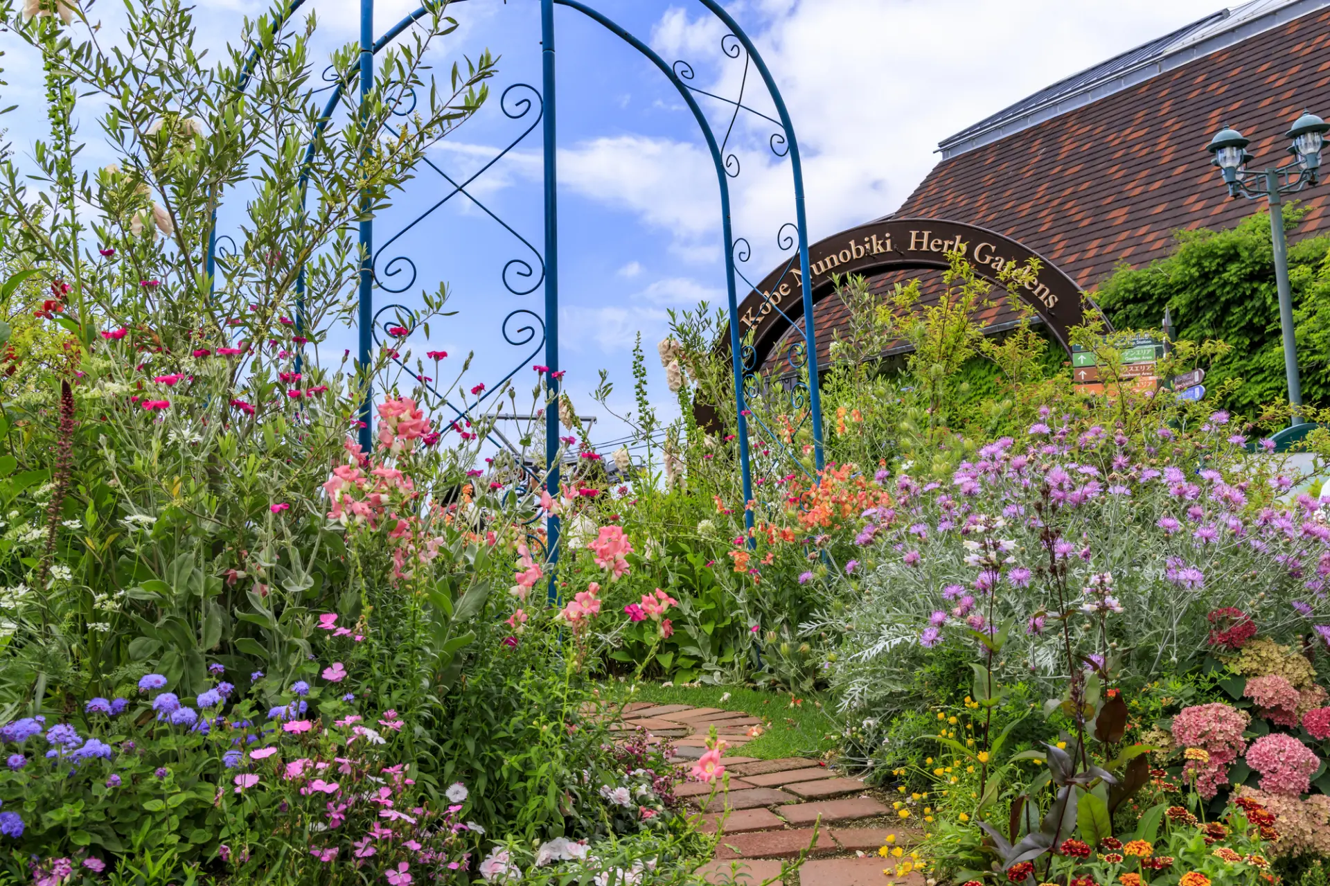 花と香りに包まれた神戸布引ハーブ園は、春の散策も楽しい