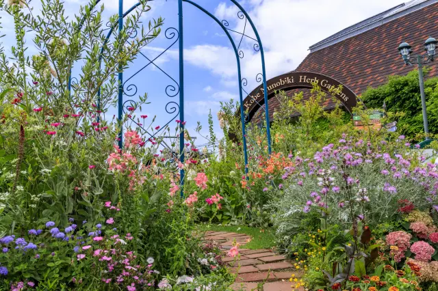 花と香りに包まれた神戸布引ハーブ園は、春の散策も楽しい