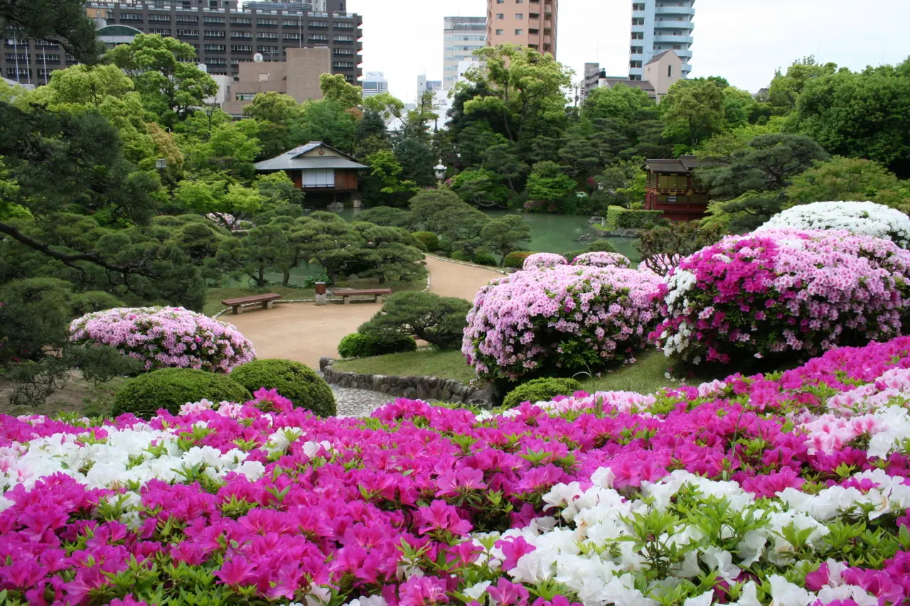 ツツジが咲く春には「つつじ遊山」が開催される