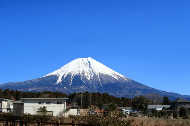 從靜岡縣眺望的富士山