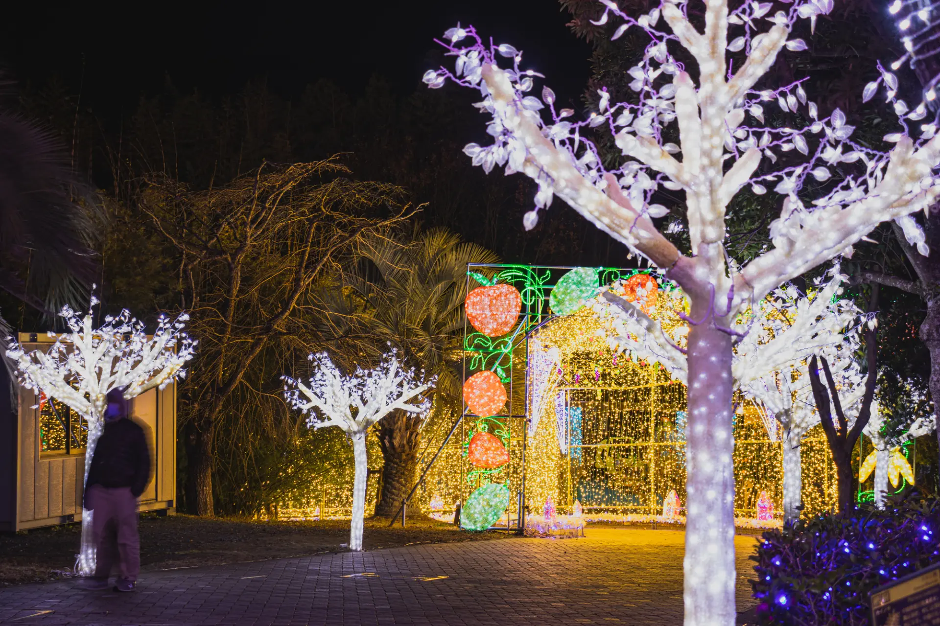 冬にはイルミネーションイベントが開催される