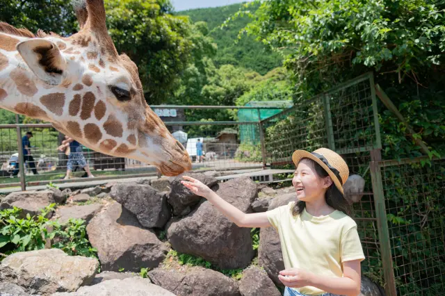 約60種動物在廣闊的自然中自在生活的動物樂園