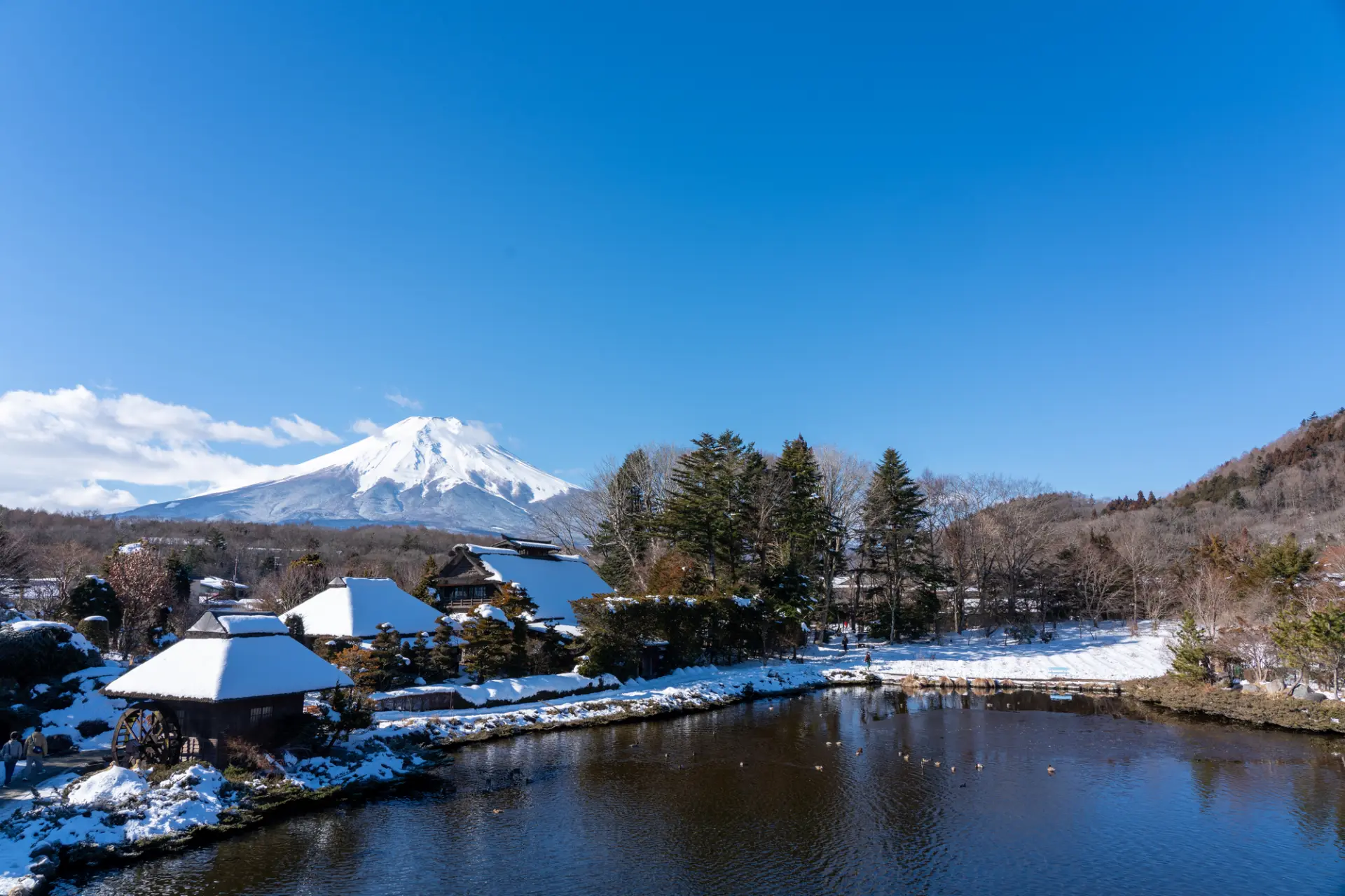 忍野八海の観光ガイド】清らかな池と富士山が織りなす絶景を巡る