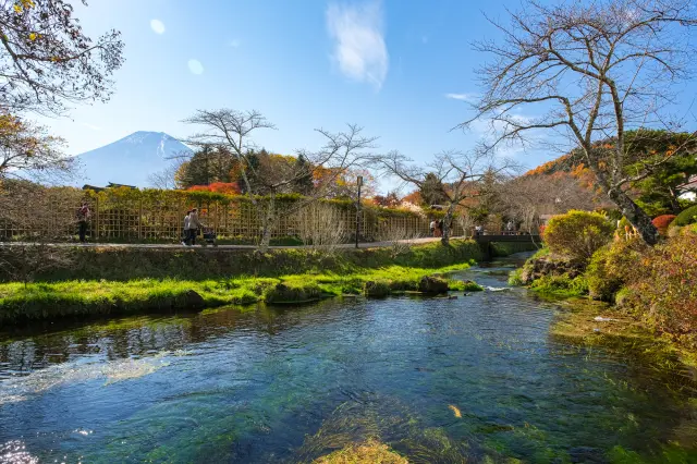 8つの池を巡れば様々な富士山の景観を楽しめる
