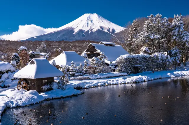 静寂に包まれた冬景色を体験できる