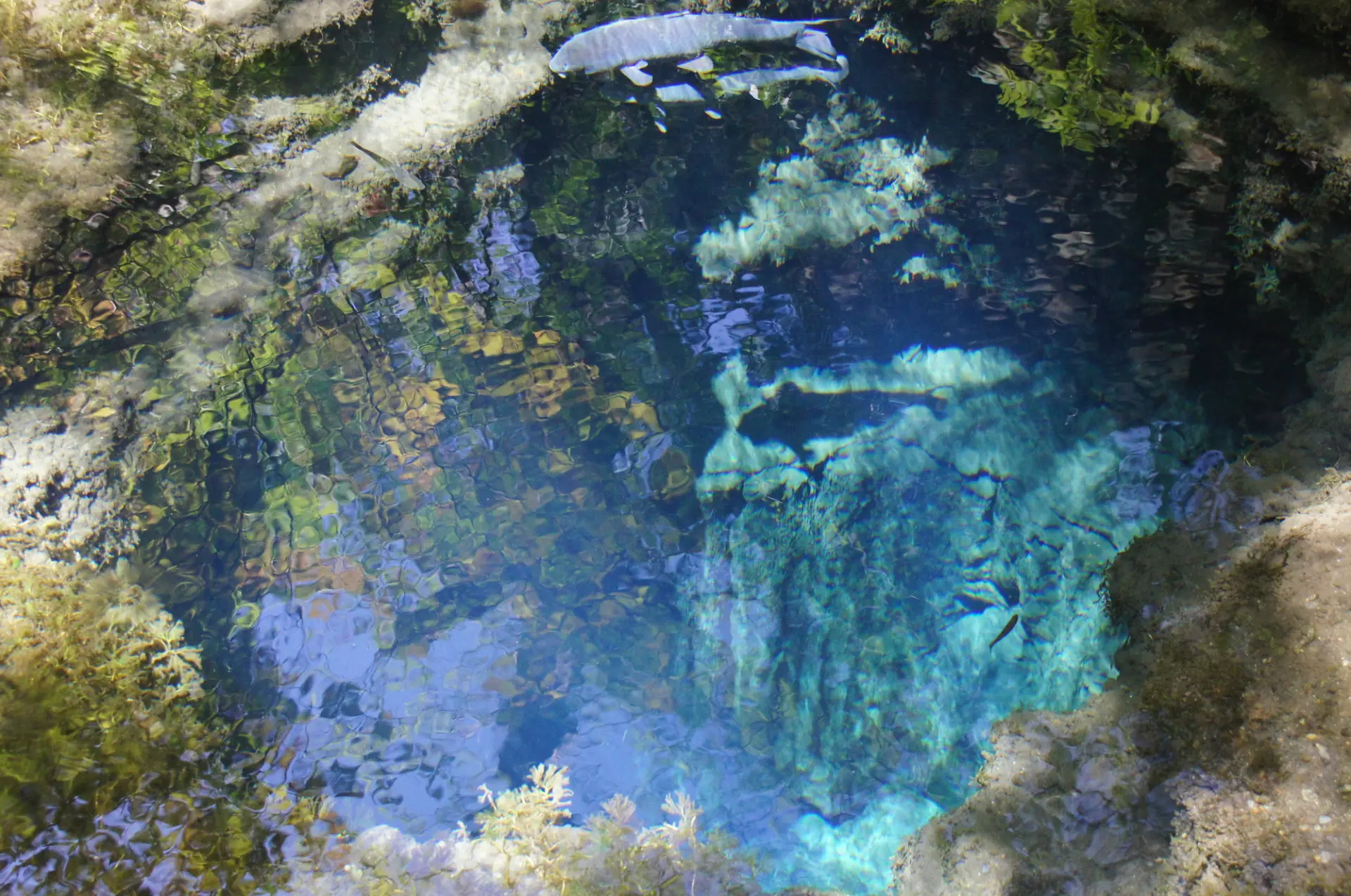 神秘的な藍色が美しいお釜池