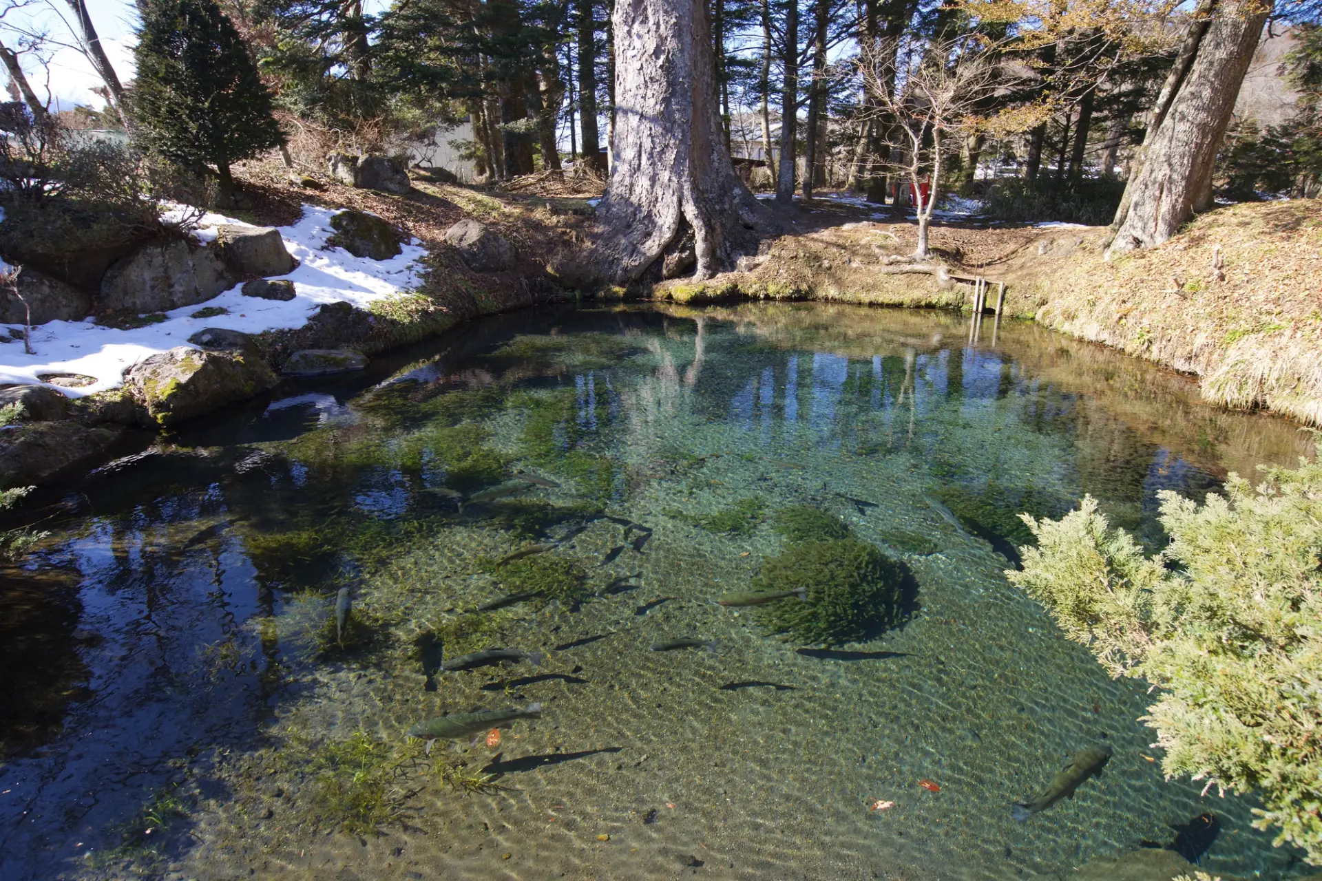 古くからある景観を守り続けている底抜池