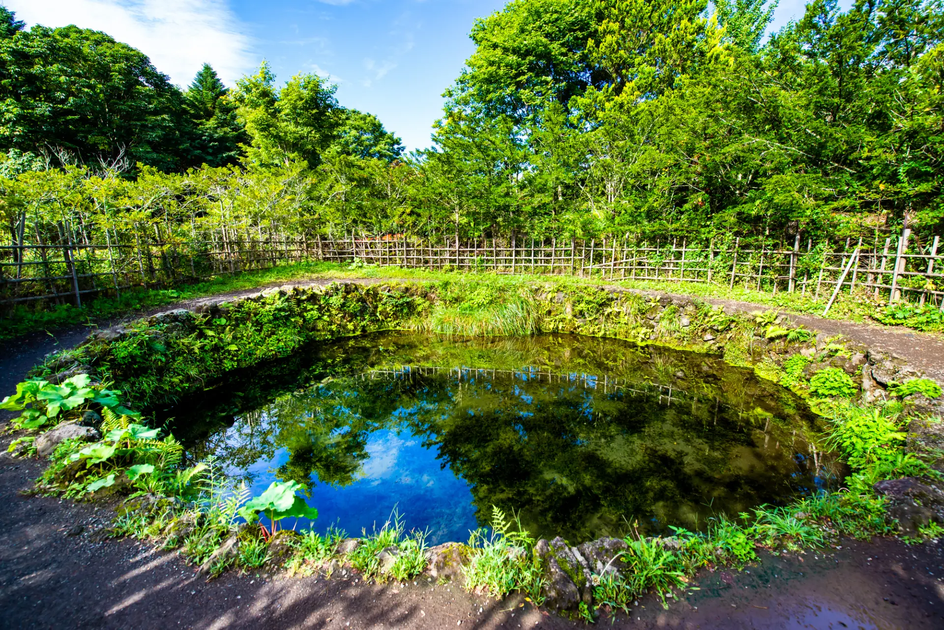 縁結びの池としても知られている銚子池