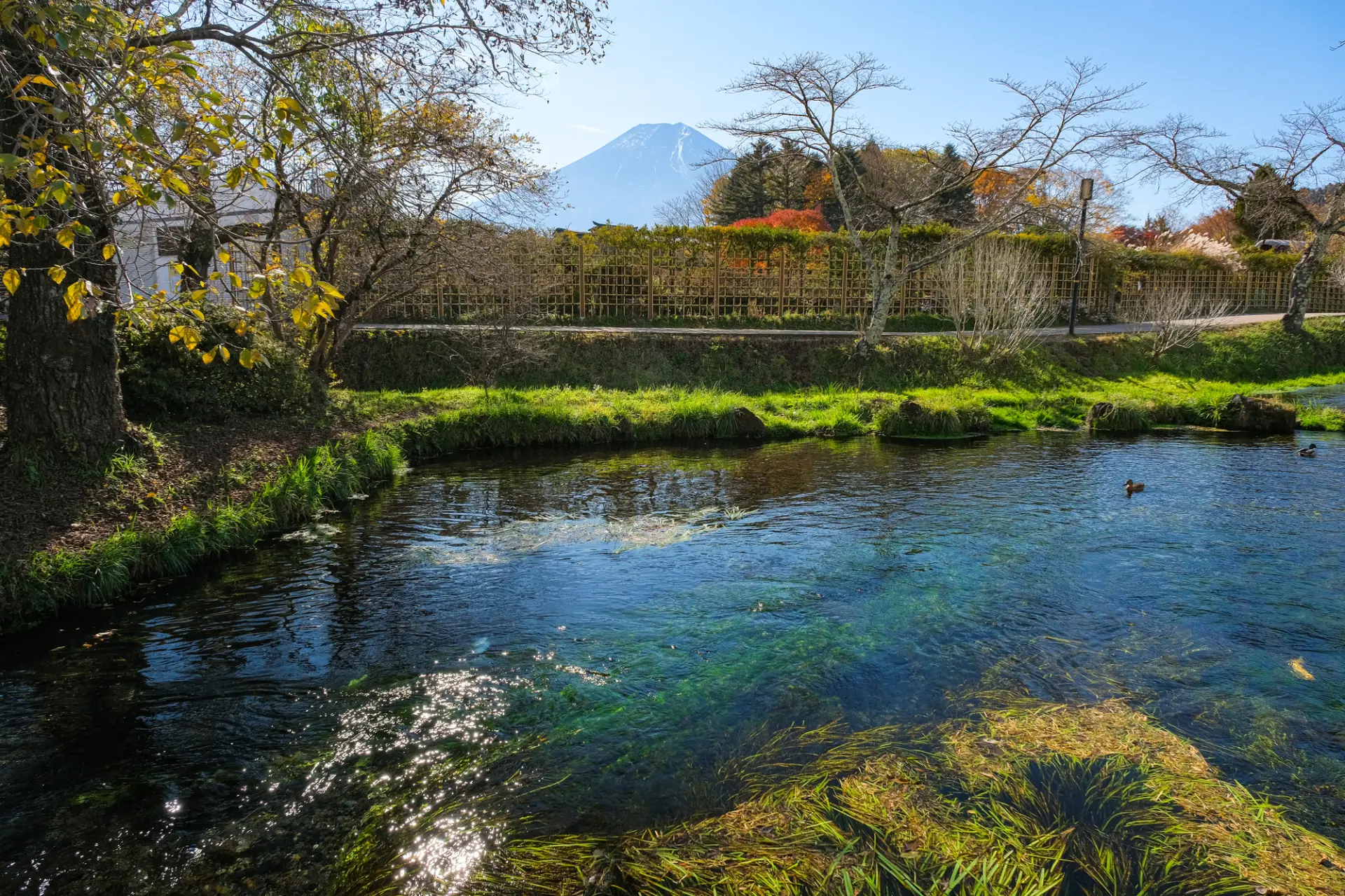 自然が織りなす一期一会の景色が魅力の濁池