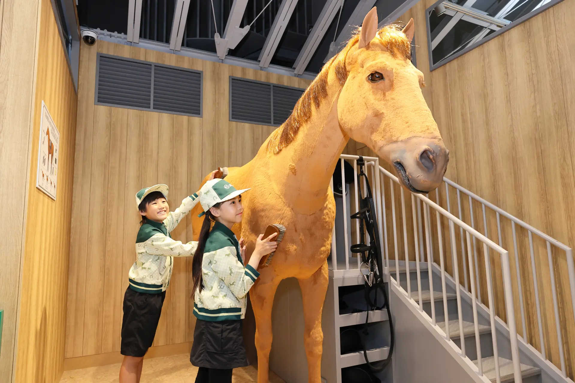 Assistant Trainer: experience the job of fitting a horse with tack