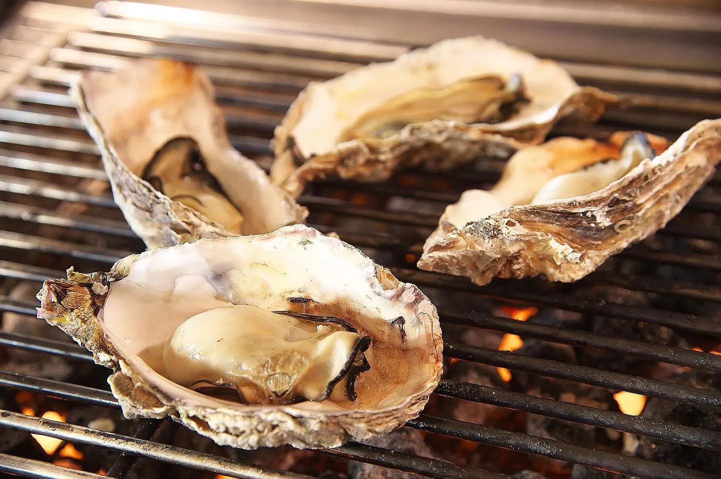 炭火で香ばしく焼き上げた牡蠣は旨みたっぷり