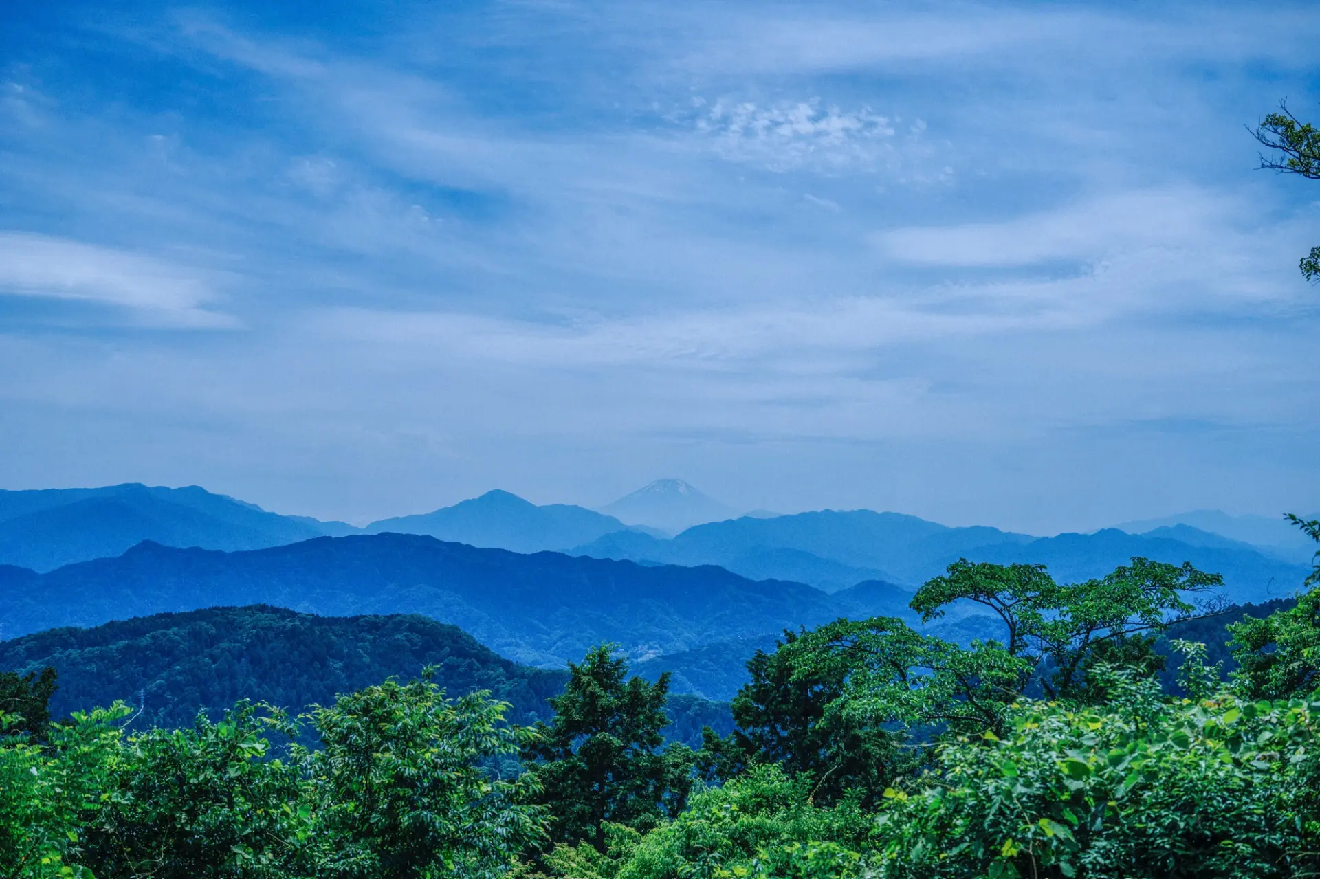Mt. Takao, full of appeal beyond its beautiful natural scenery