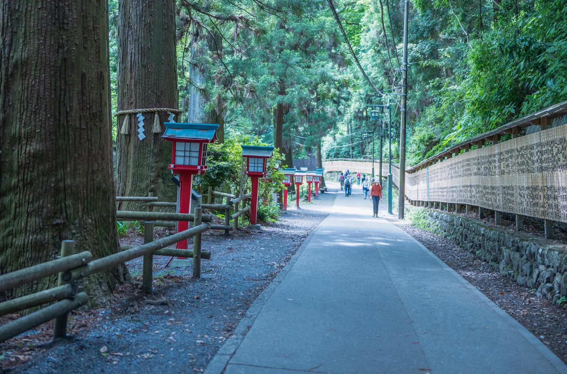 Homyo-ban (name boards) lining the approach to Takao-san Yakuo-in