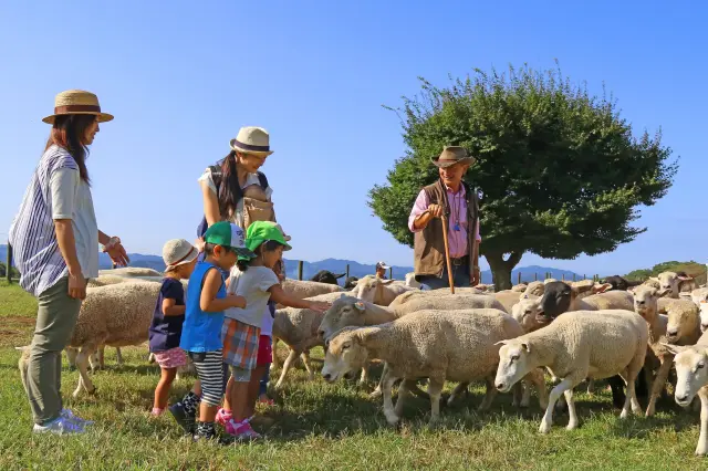 もふもふしたくなる愛らしい動物たちがお出迎え