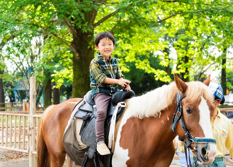 「自然と友だち」がキャッチフレーズの自然と触れ合える公園