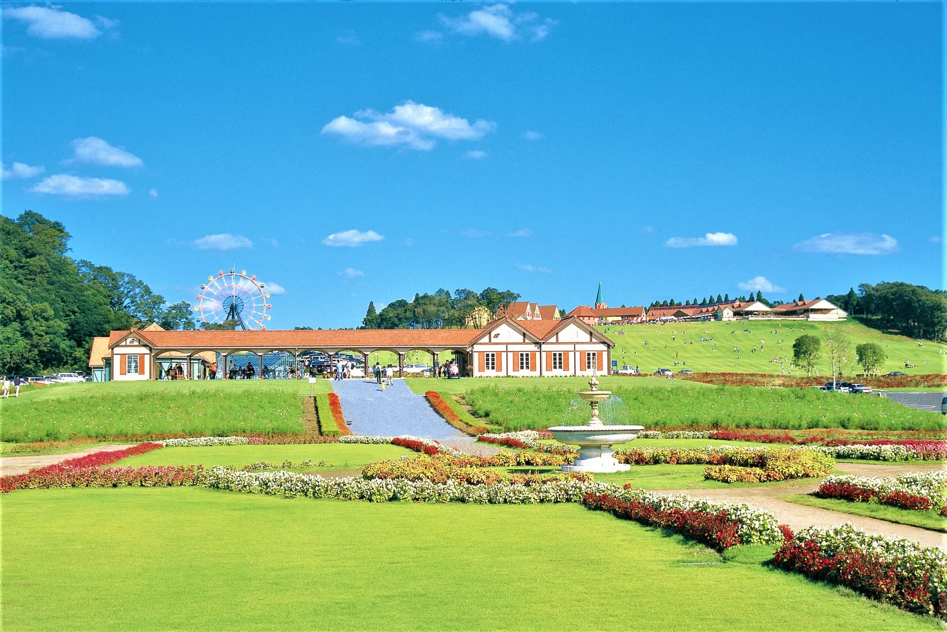 広さは東京ドームの19倍！自然のなかでさまざまなアクティビティを