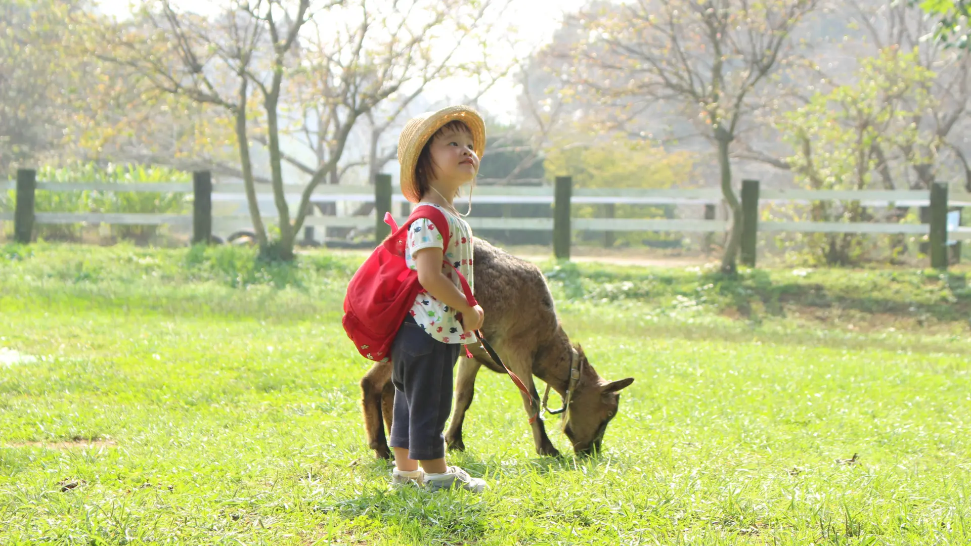 かわいい動物とのふれあいと多彩な牧場体験がお待ちかね