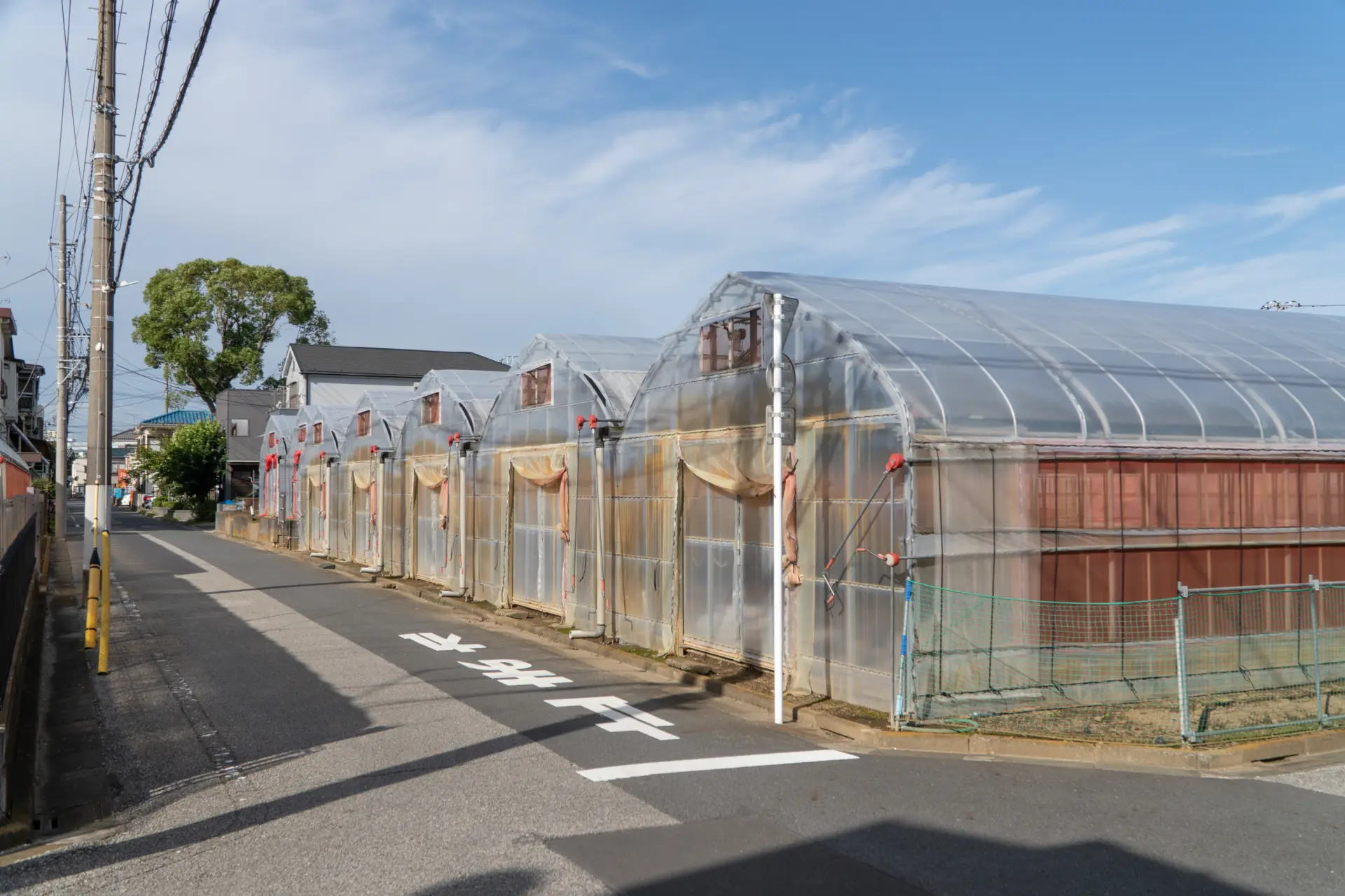 在住宅區中突然出現的都市農園「眞利子農場」