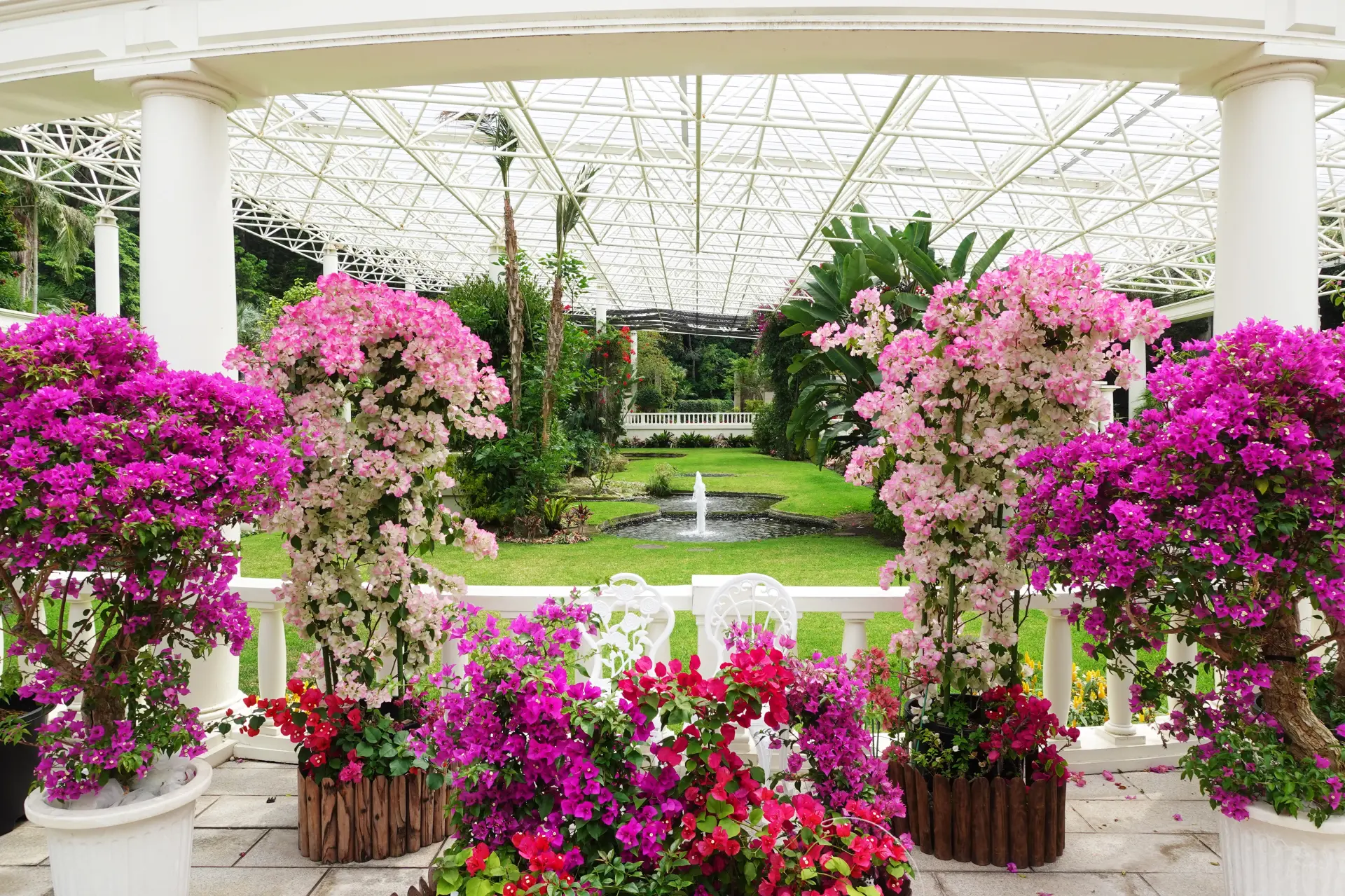 温暖な気候の下で世界各地の植物を楽しめる国内最大級のフラワーパーク