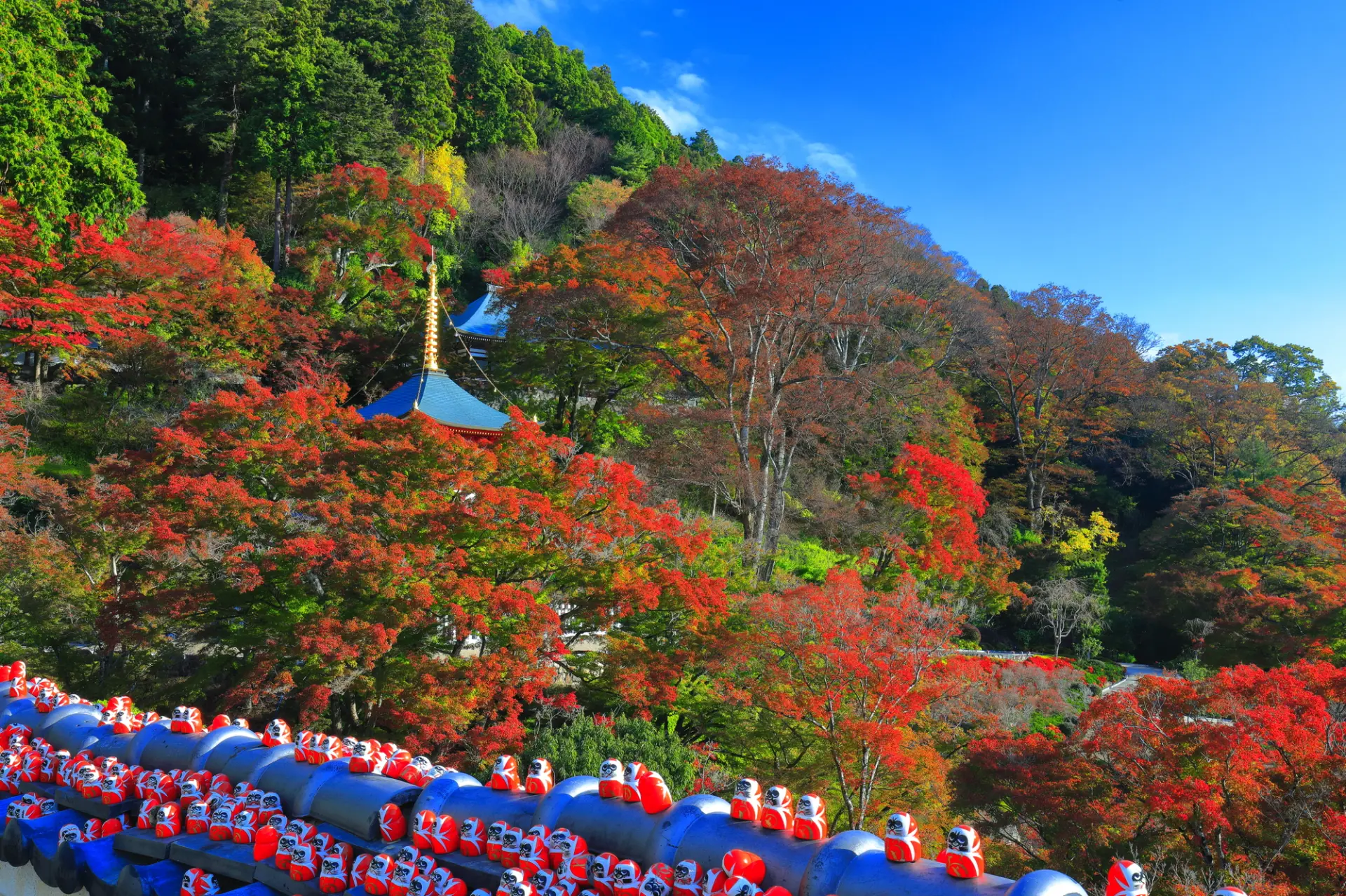 從多寶塔周邊可俯瞰整個境內景色