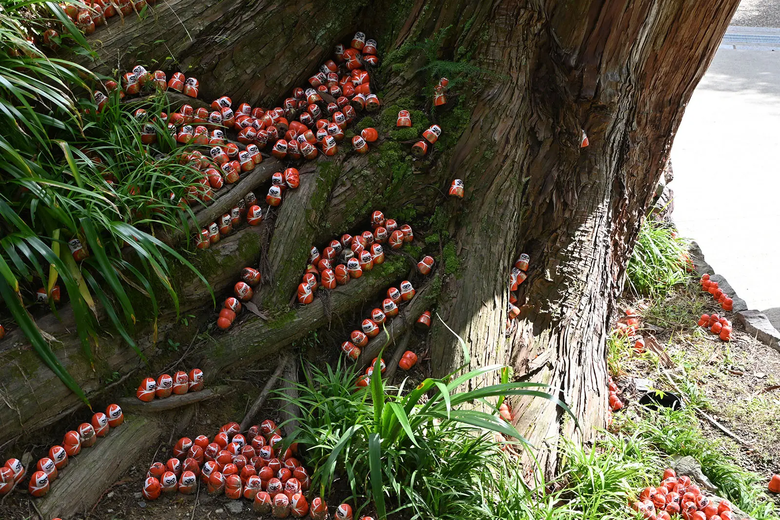 不只是在建築物周邊，就連境內樹木的縫隙之間，也密密麻麻擺滿了達摩
