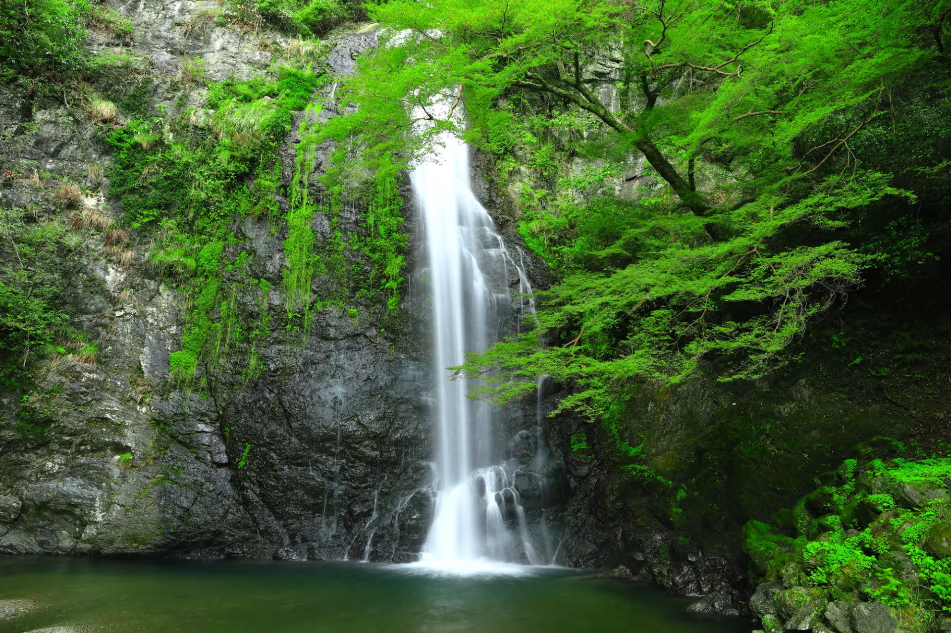 箕面の滝までの散策路に見どころが点在している