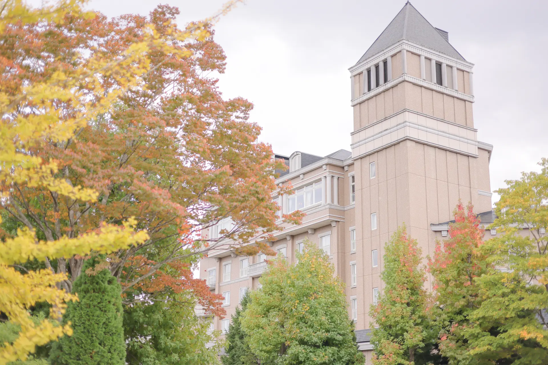 仙台中心街から車で約30分の場所にある