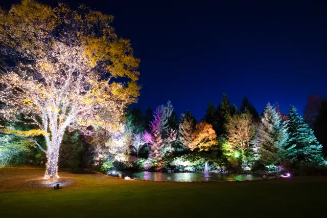 In winter, the garden is lit up for a limited time.