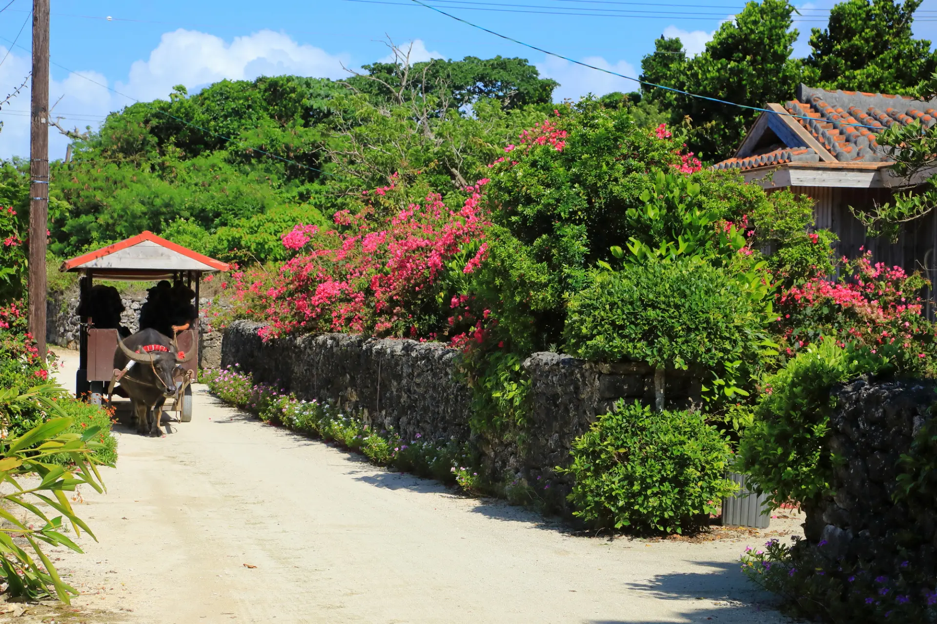 【春の沖縄県観光ガイド】春から楽しむ青い海と南国リゾート時間