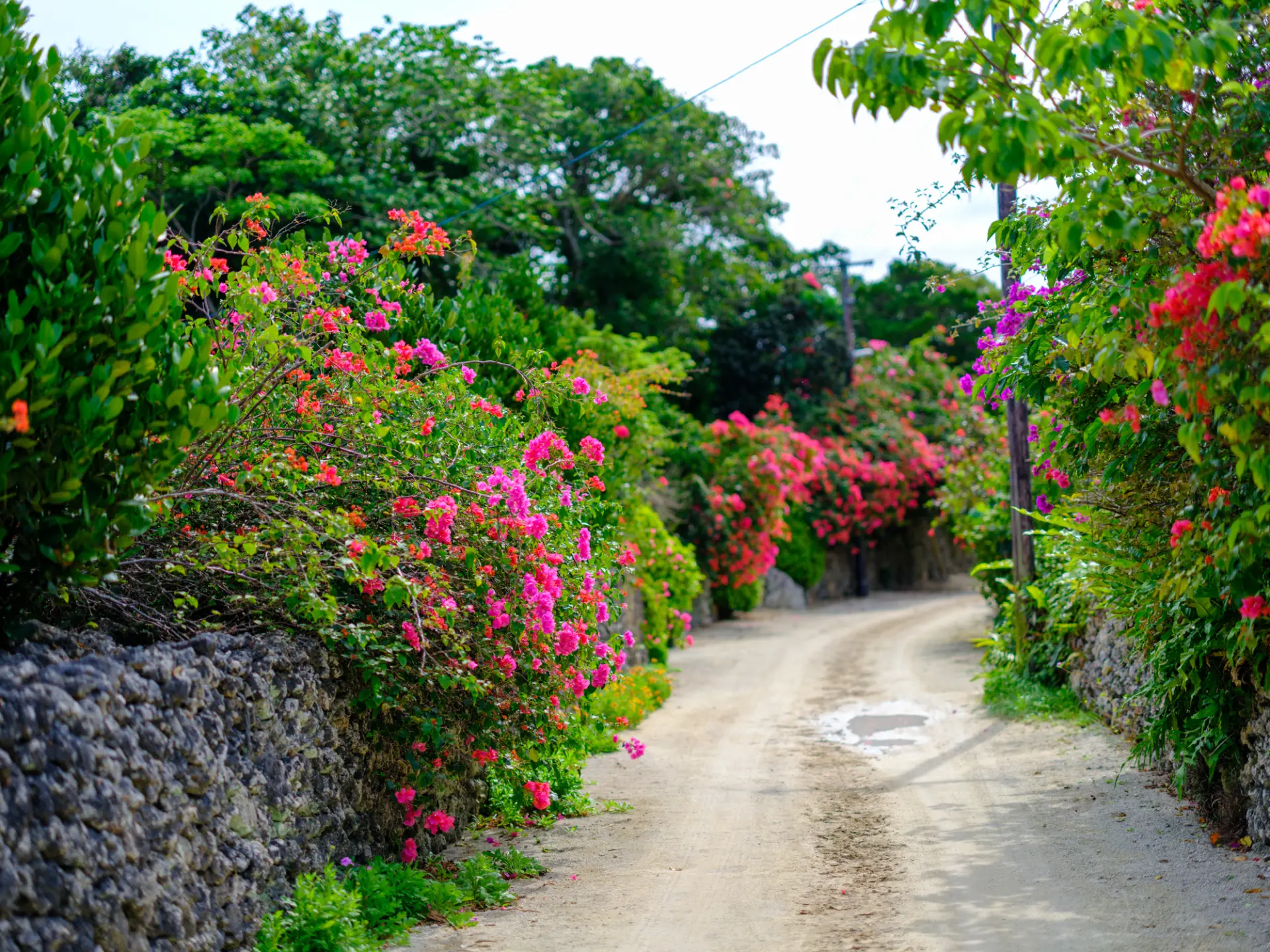 島の3つの集落は重要伝統的建造物群保存地区に登録されている