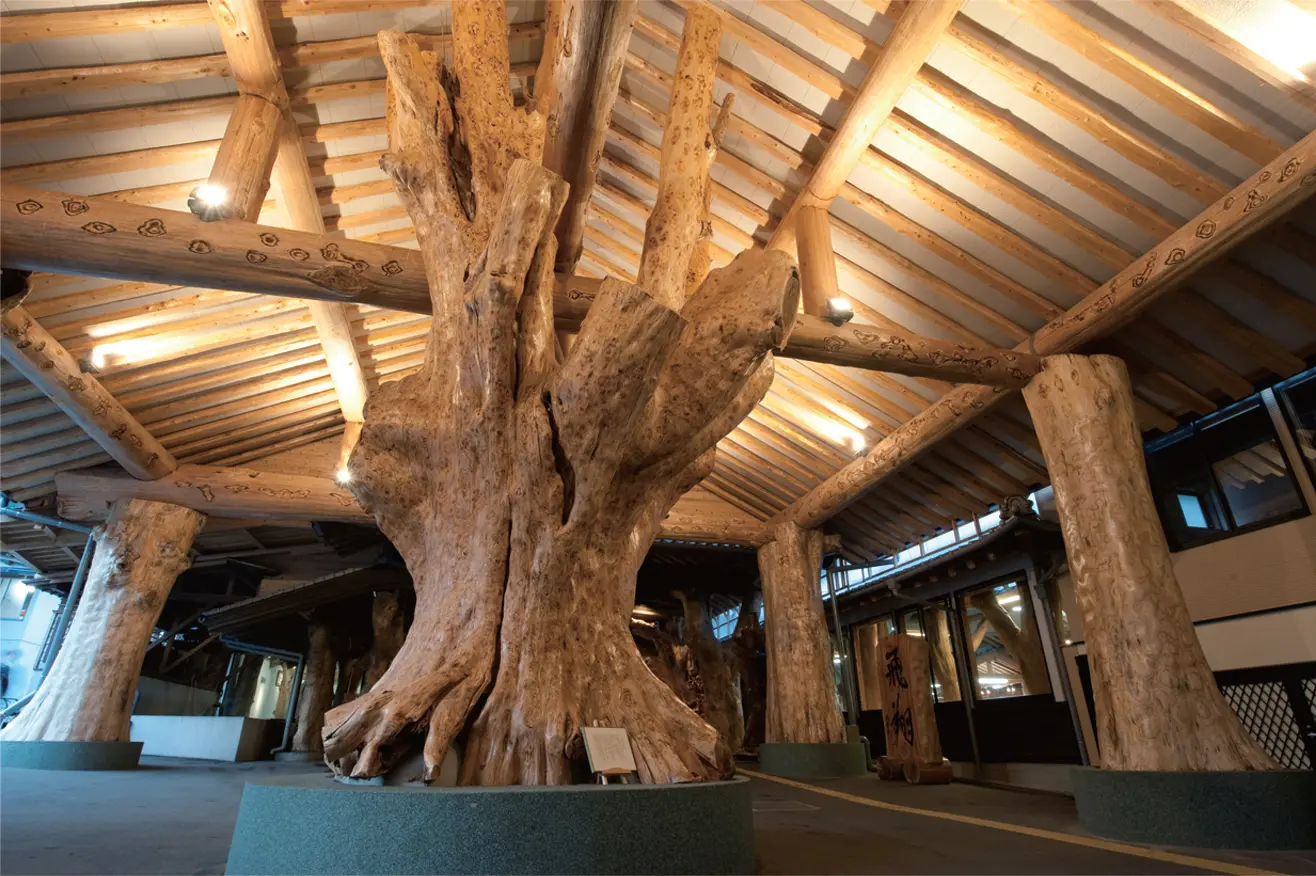 馆内伫立的「Mikado铭木」气势雄伟