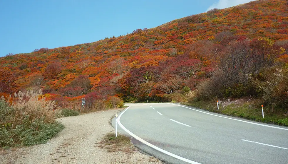 佐渡島を縦断する、絶景を満喫するパノラマドライブルート
