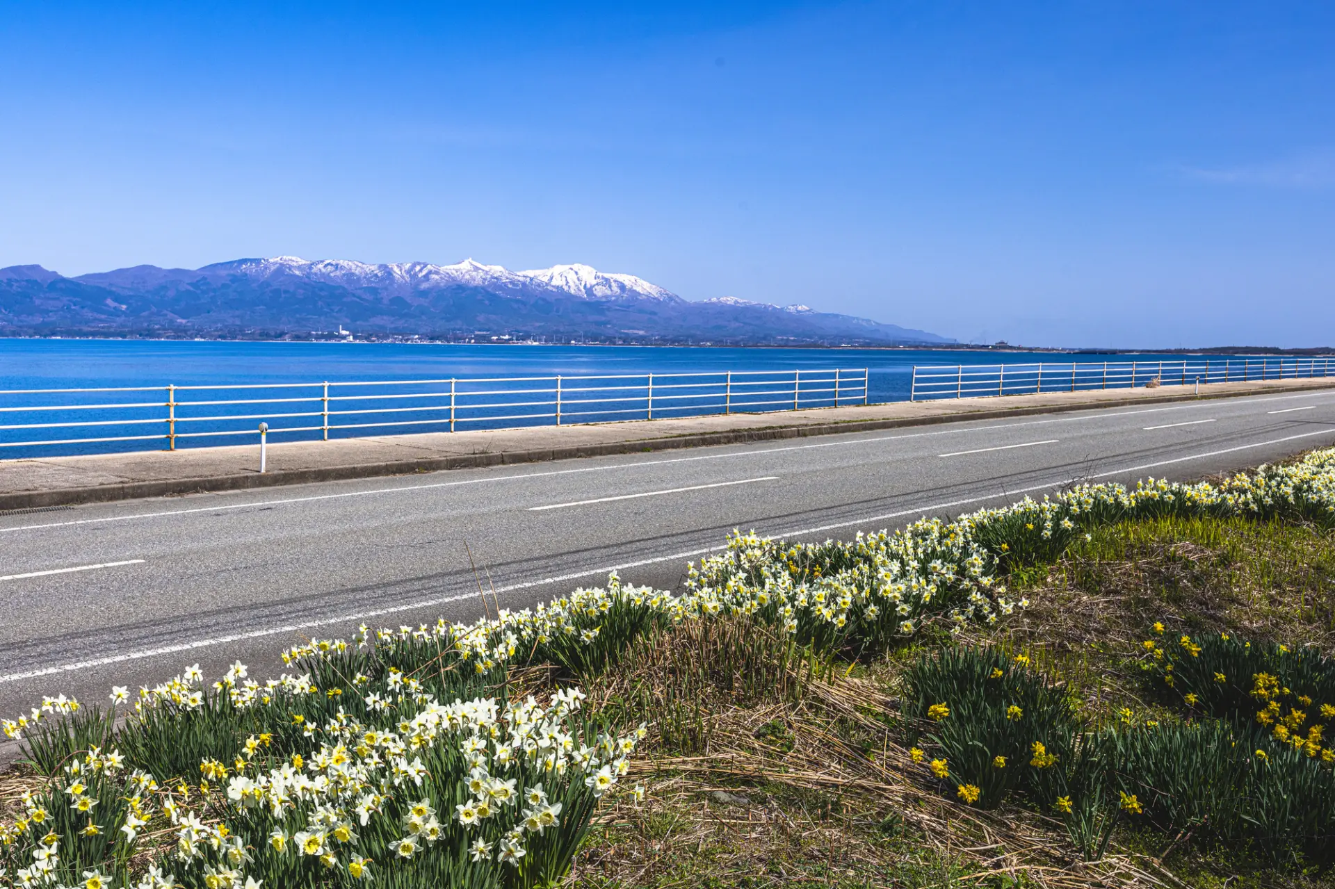 ドライブ中の景色も楽しもう