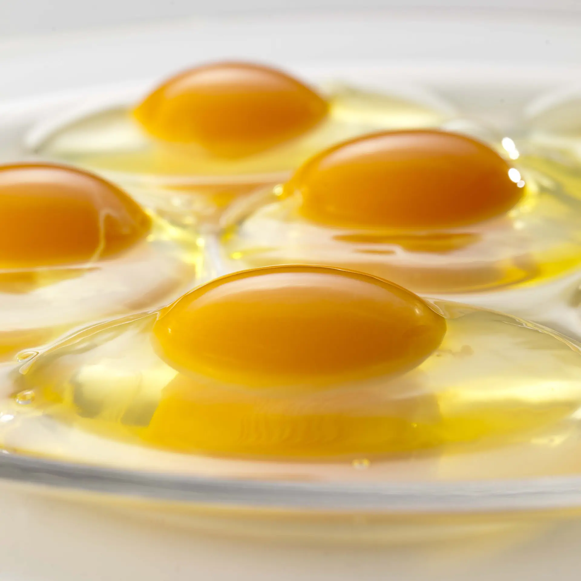 大量採用來自九州在地的食材