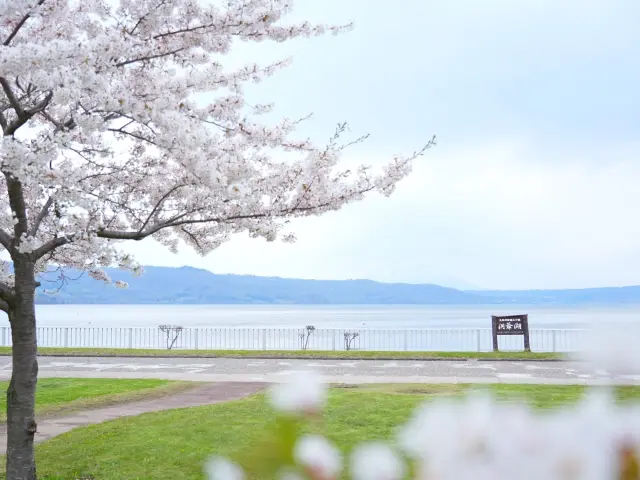 【春の北海道観光ガイド】桜咲く春を迎える、雪解けの北海道温泉旅