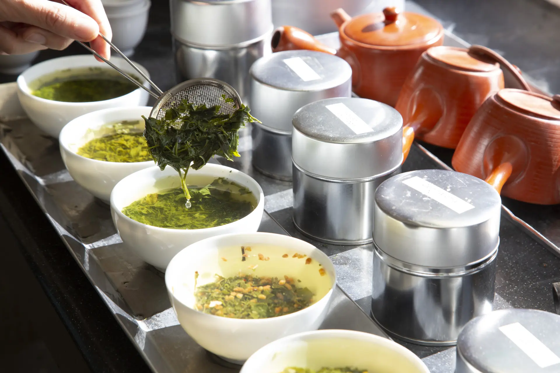 可試飲超過10種茶款，體驗品飲比較