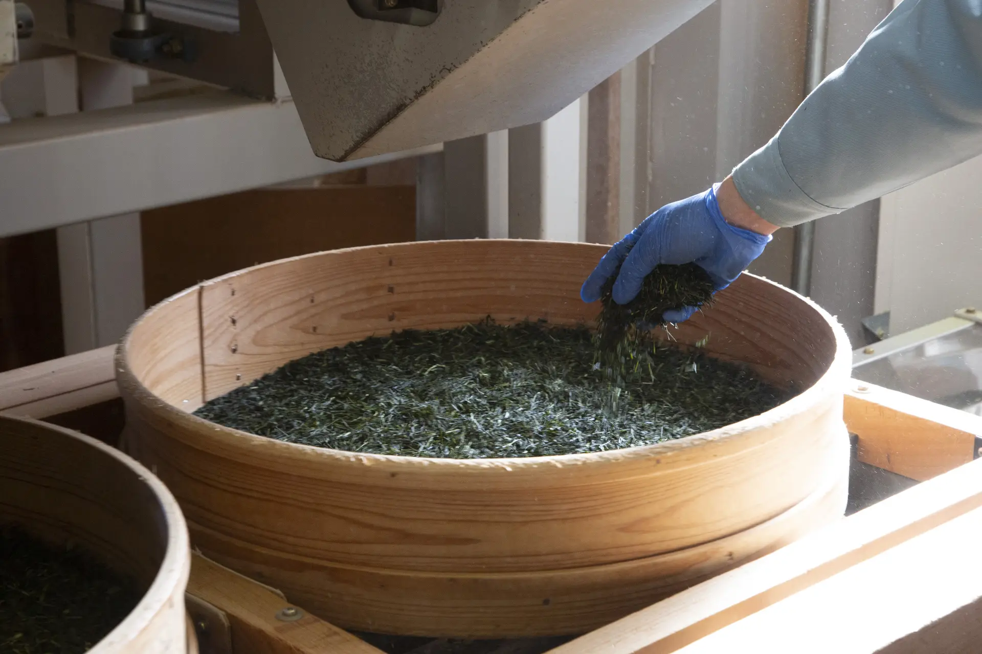 能親身感受茶香與製茶職人的手工技藝