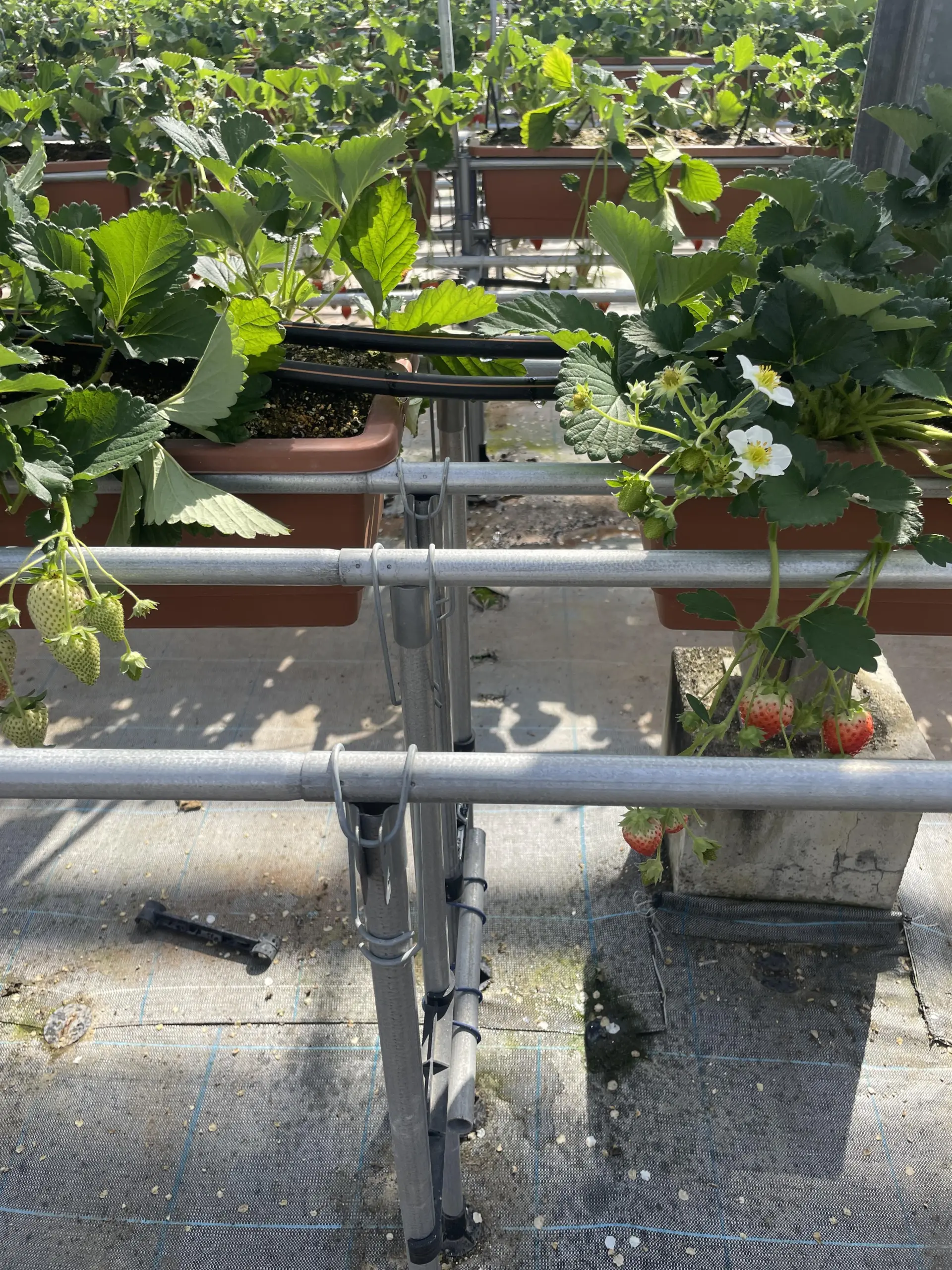 距離「三保松原」步行只要約12分鐘的便利地點