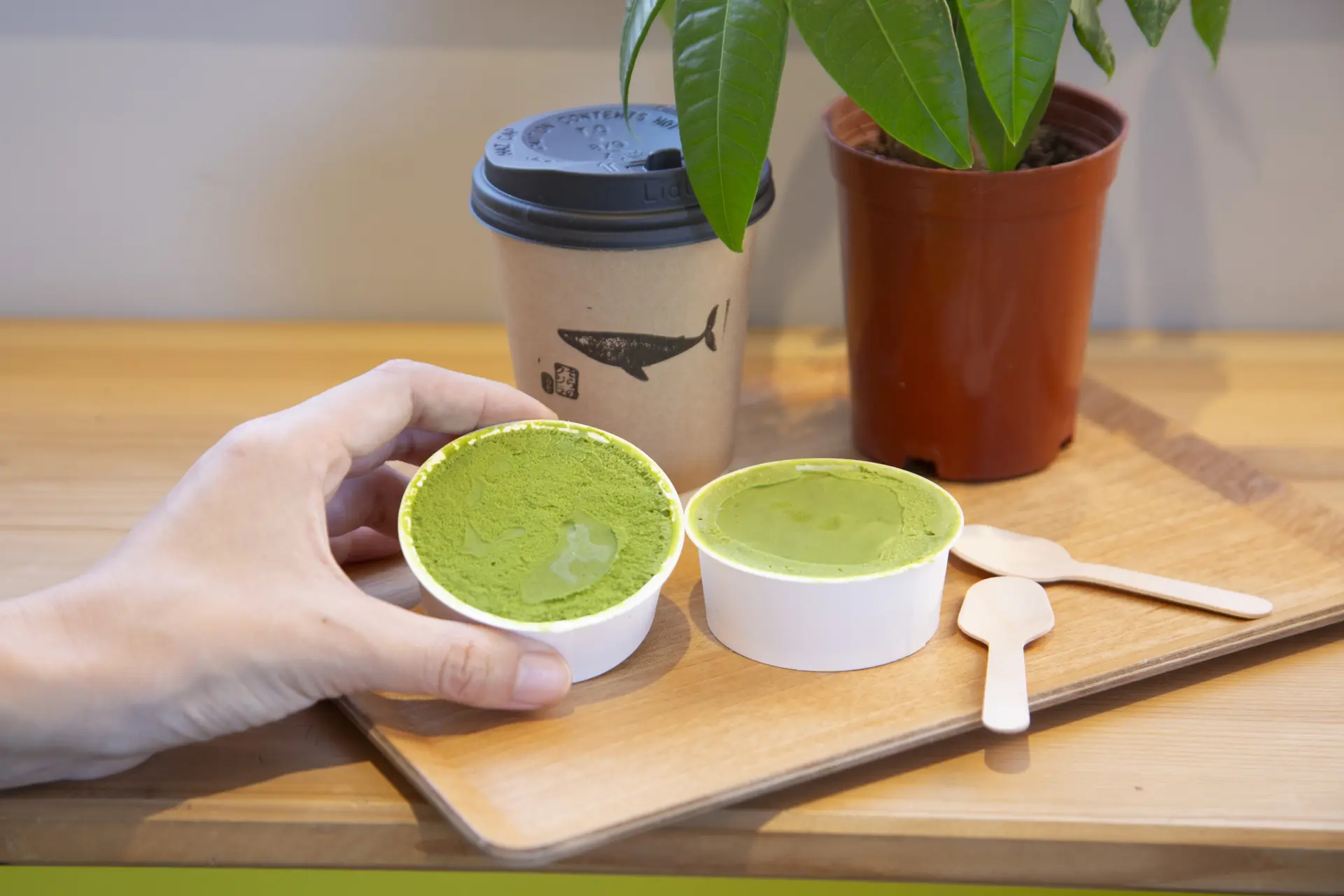 原創抹茶義式冰淇淋風味深邃濃郁