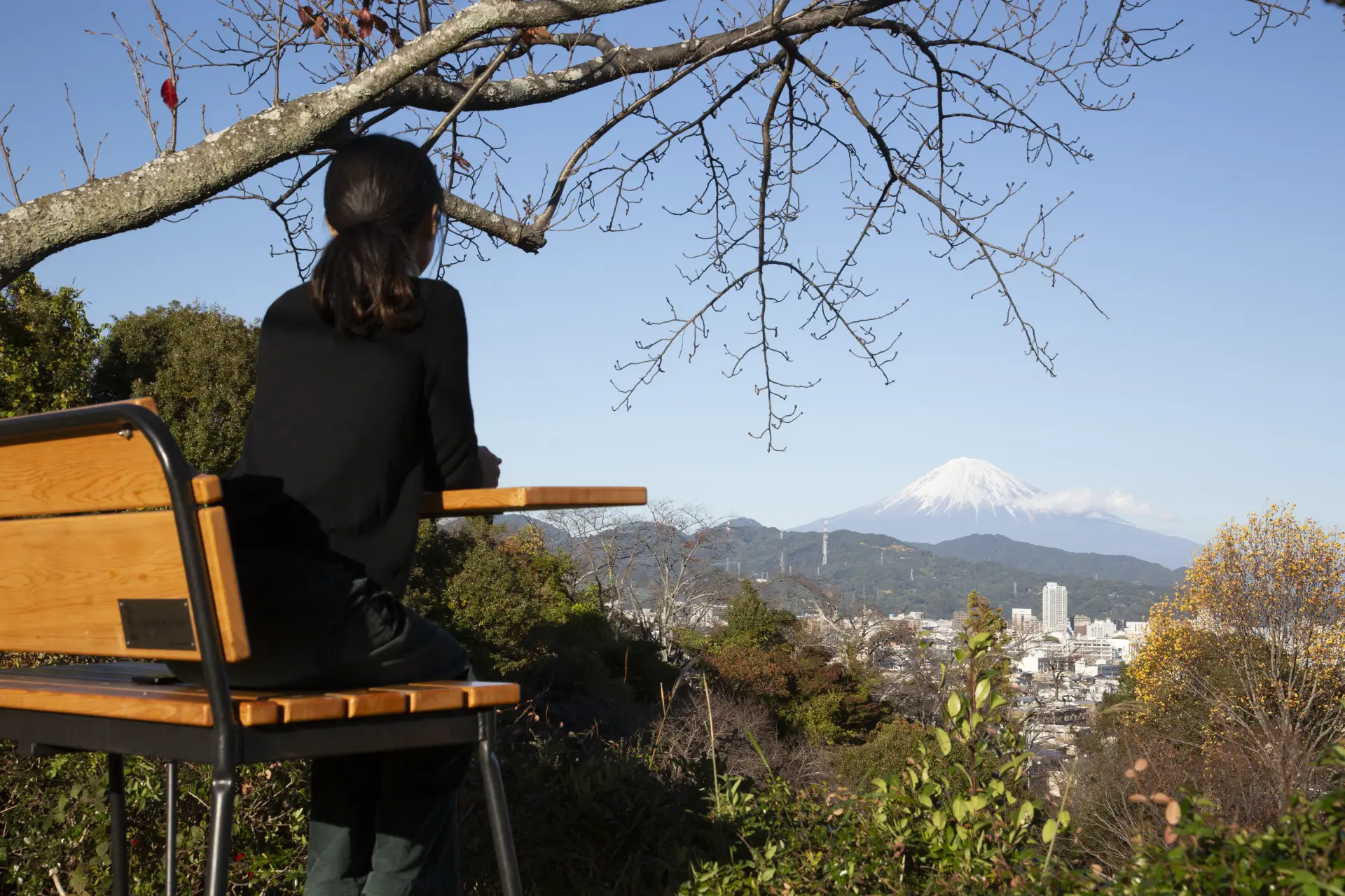 穿著浴衣體驗茶道點前