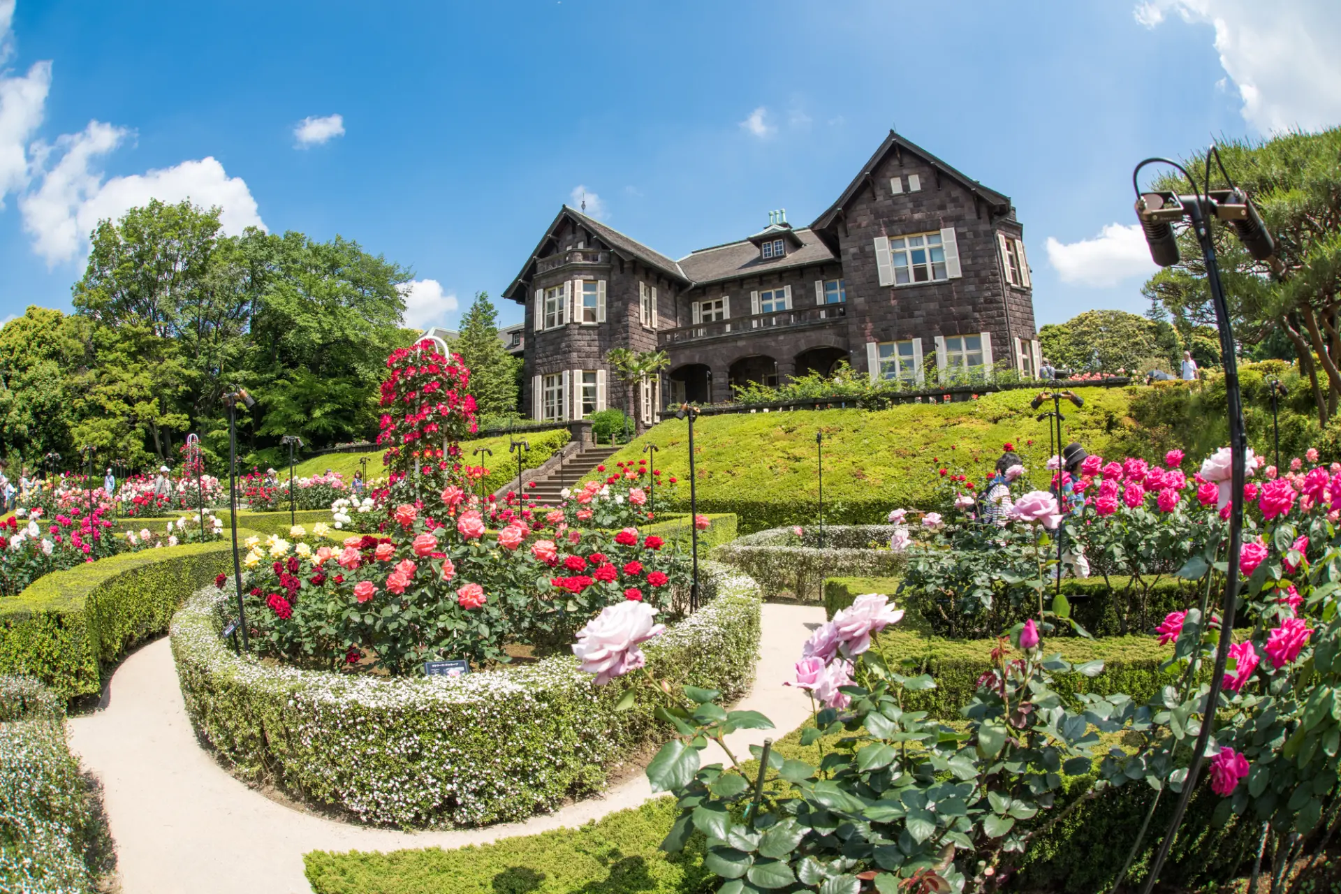 バラが見頃を迎える5月に、バラフェスティバルが開催される