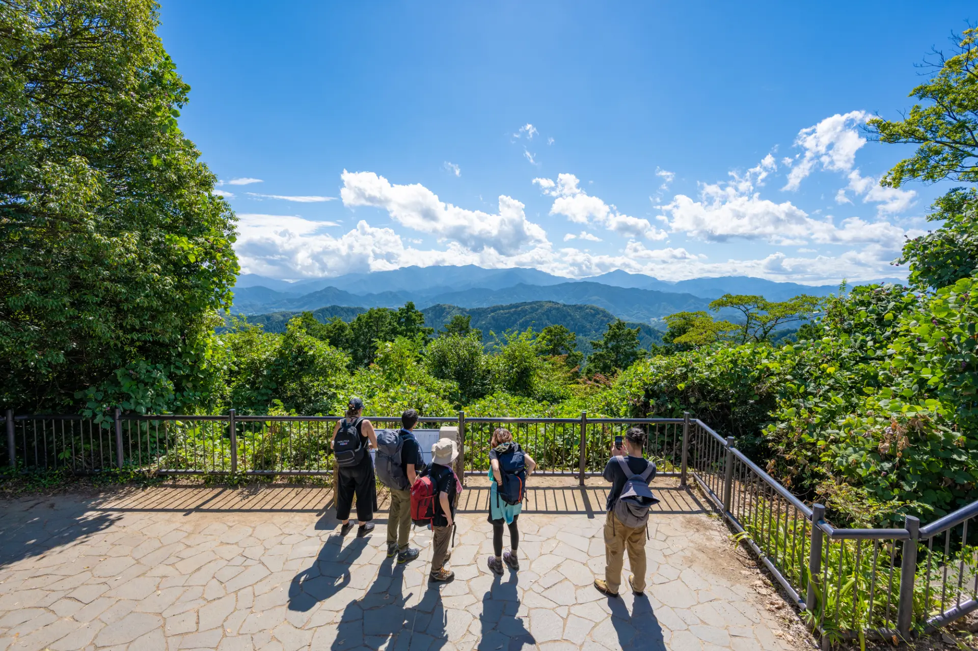 標高599ｍの高尾山には、7つの登山コースがある