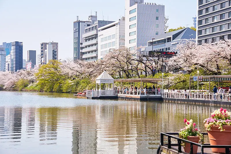 江戸城外堀沿いに位置する水上レストラン