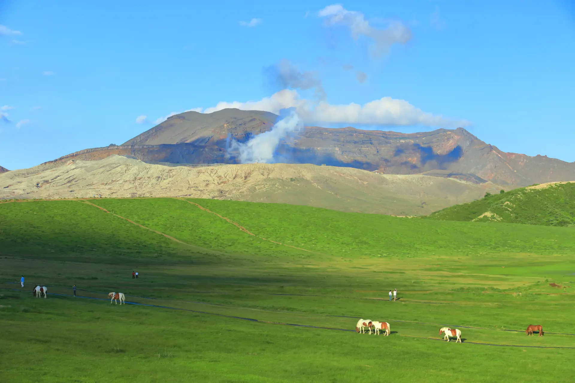 Enjoy Aso’s popular sightseeing spots efficiently.