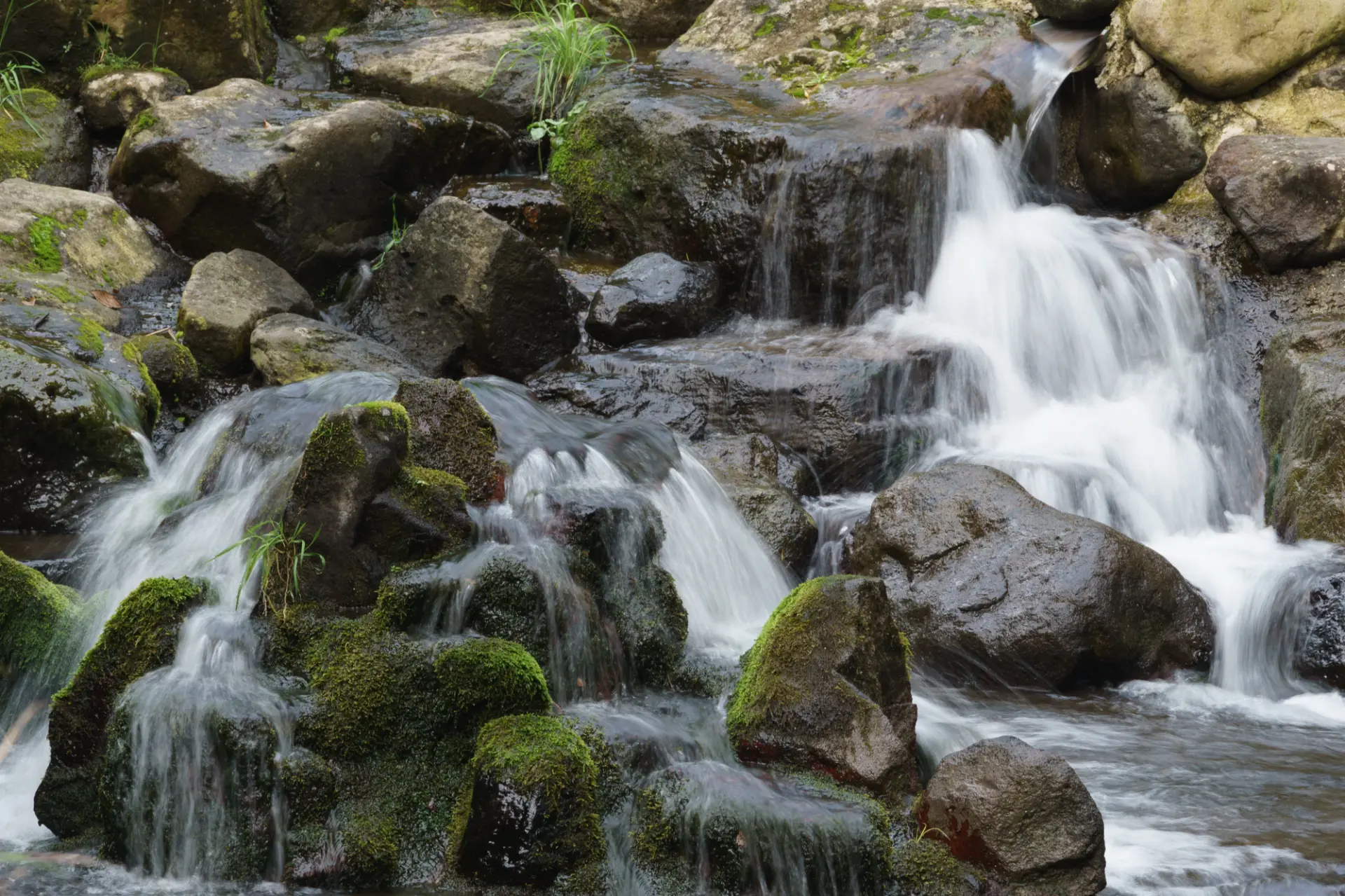 Aso’s signature spring water, selected as one of Japan’s 100 Famous Waters