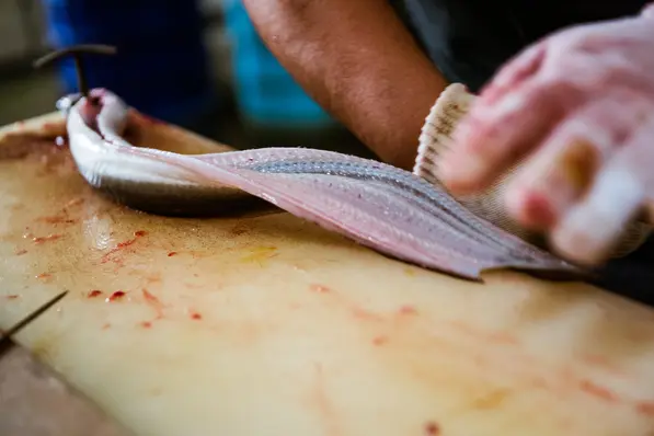 為重視鮮度，鰻魚皆由職人於店內處理