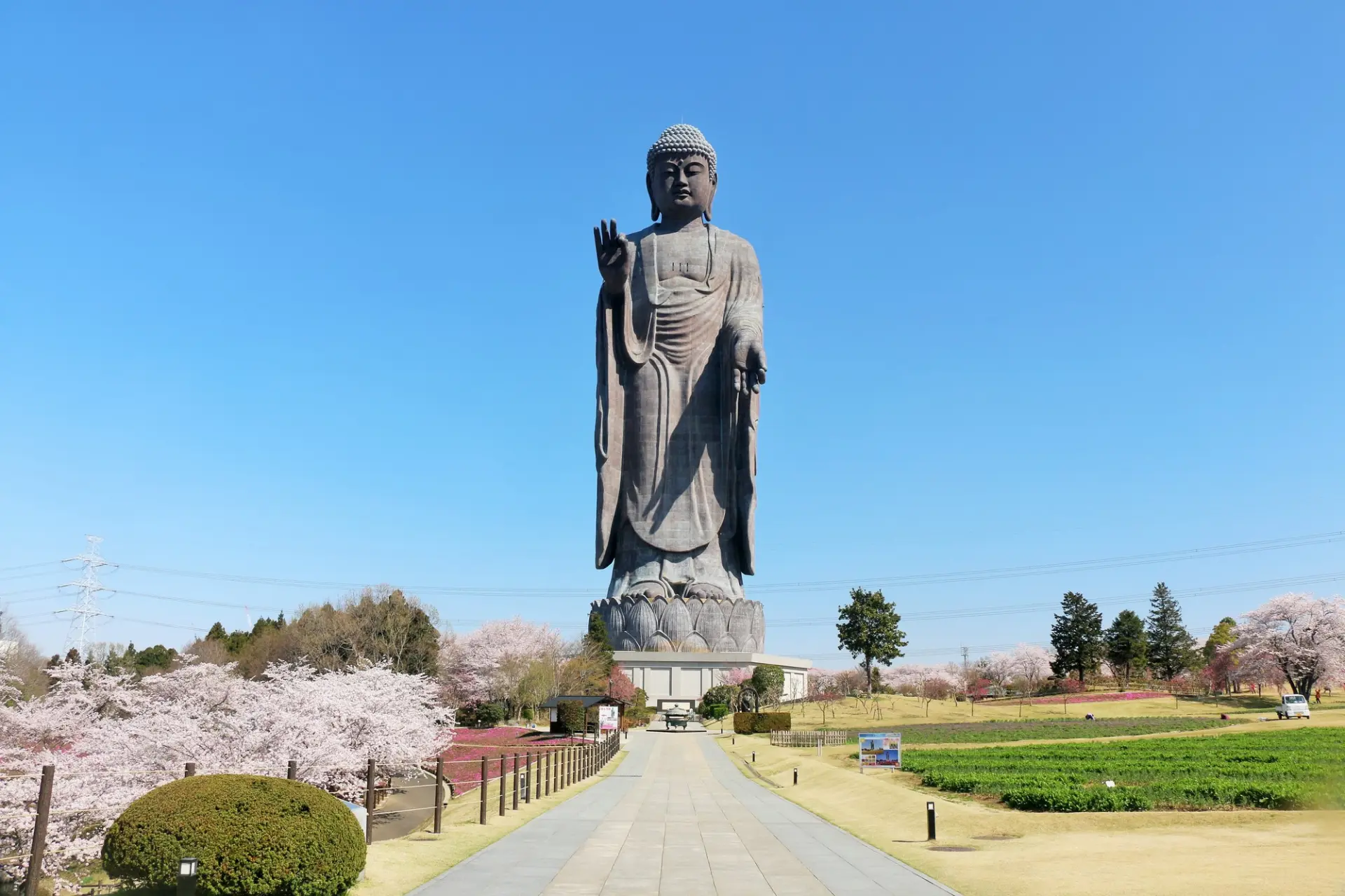 1992年に完成、正式名称は牛久阿弥陀大佛という