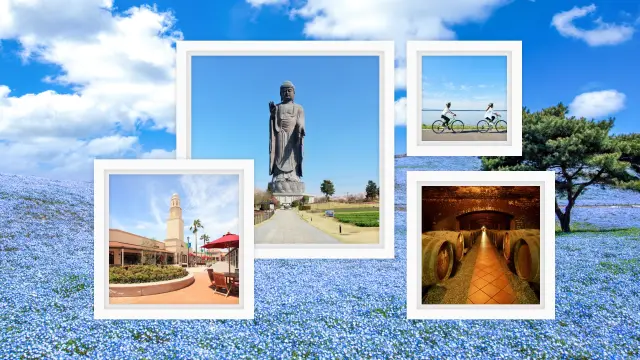 【茨城1泊2日モデルコース】最先端の科学技術にふれ、自然にあそぶ！